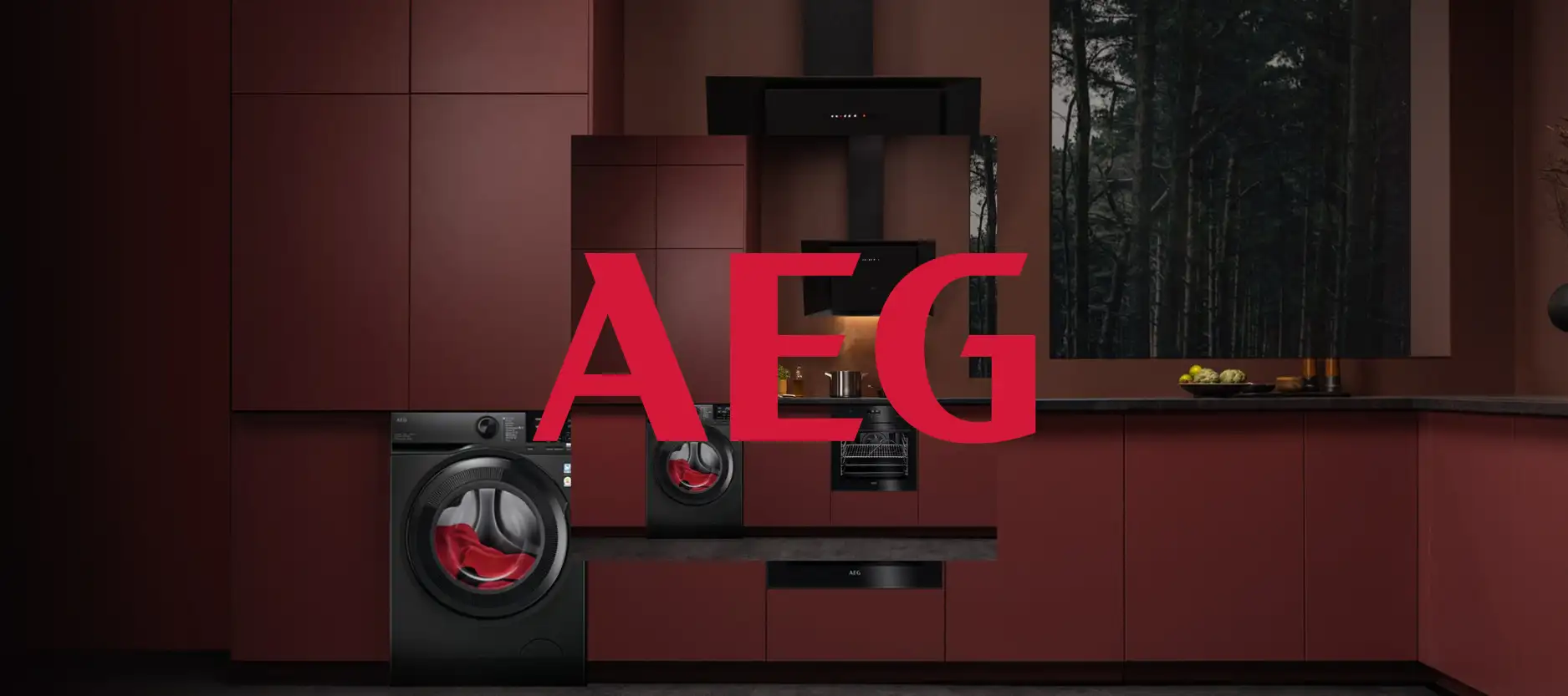 تعمیر لوازم خانگی آاگ در اهواز